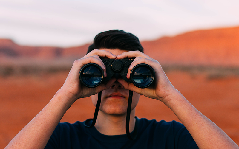 How do I choose a developer for my online store?