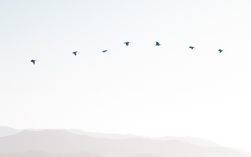 How do you prepare to change the platform of your online store?